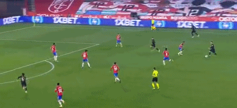 河南省羽毛球协会昌晓秋：借羽毛球星星之火寻找城市内核丨顶端访谈